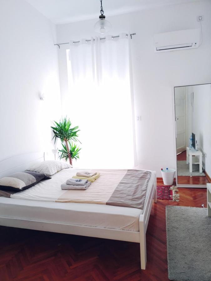 Cricket Park Hostel Βελιγράδι Εξωτερικό φωτογραφία